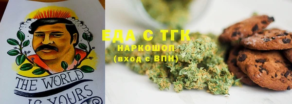 гидра Новозыбков