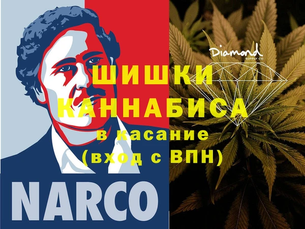 гидра Новозыбков