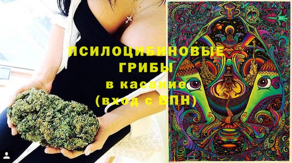 мяу мяу мука Абаза