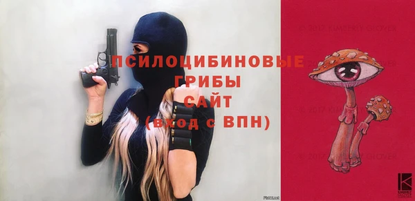 мяу мяу мука Абаза