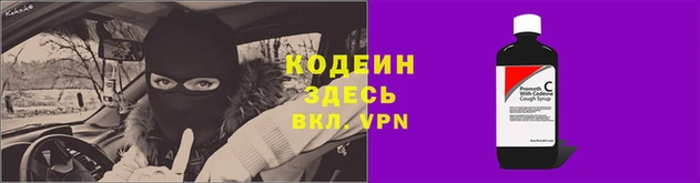 мяу мяу мука Абаза