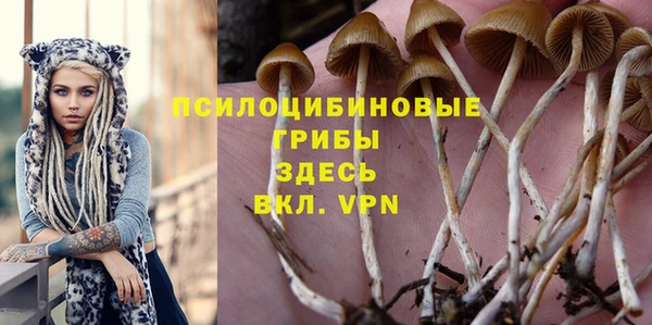 гидра Новозыбков