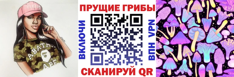 Псилоцибиновые грибы Psilocybine cubensis  Никольск 