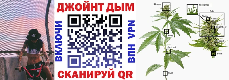 где можно купить   Никольск  Бошки марихуана THC 21% 